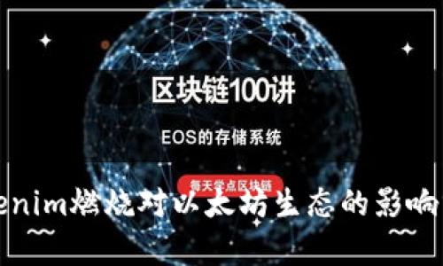 Tokenim燃烧对以太坊生态的影响分析
