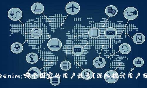 Tokenim：哪个国家的用户最多？深入探讨用户分布