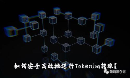 如何安全高效地进行Tokenim转账？