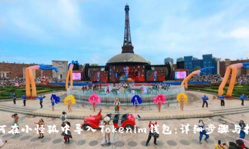 如何在小怪狐中导入Tokenim钱包：详细步骤与技巧