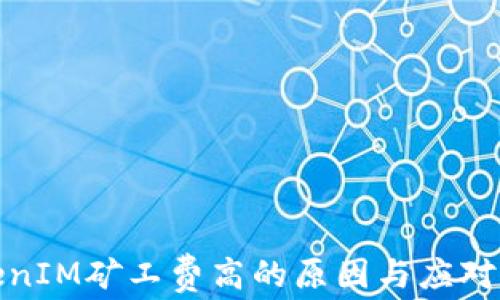 
TokenIM矿工费高的原因与应对策略