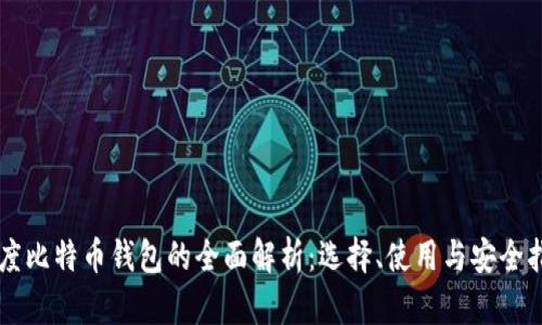 印度比特币钱包的全面解析：选择、使用与安全指南