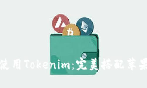 如何在大陆使用Tokenim：完美搭配苹果设备的攻略