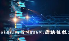 深入解析Tokenim与MeshX：区块链技术的双子星