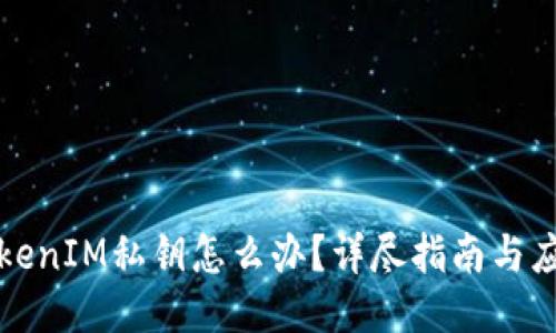 丢失TokenIM私钥怎么办？详尽指南与应对策略