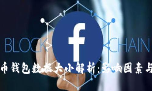 比特币钱包数据大小解析：影响因素与策略