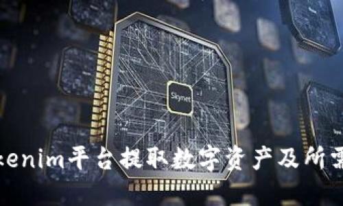 如何在Tokenim平台提取数字资产及所需密钥详解