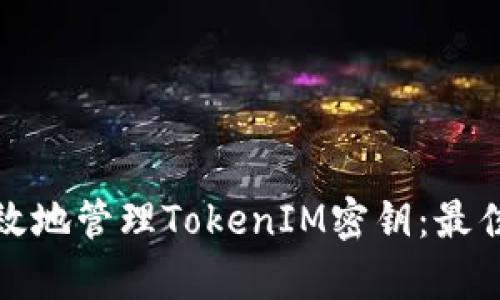 如何安全有效地管理TokenIM密钥：最佳实践与策略