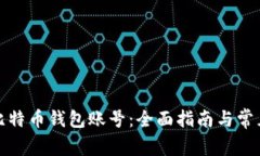 如何找回比特币钱包账号：全面指南与常见问题