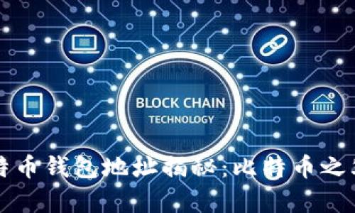 中本聪的比特币钱包地址揭秘：比特币之父的隐藏财富