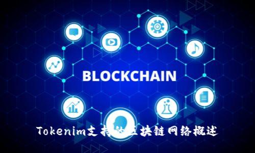 Tokenim支持的区块链网络概述