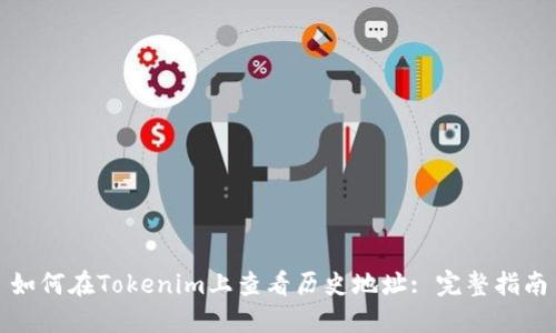 如何在Tokenim上查看历史地址: 完整指南