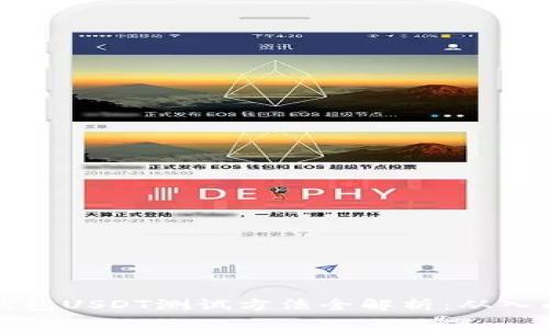 中本聪钱包USDT测试方法全解析：从入门到精通