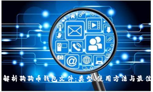 全面解析狗狗币钱包文件：类型、使用方法与最佳实践