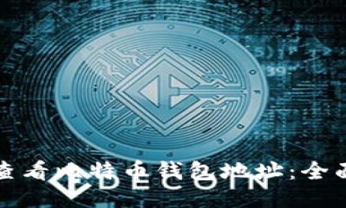 如何查看比特币钱包地址：全面指南