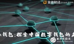 AP Link钱包：探索中国数字钱包的未来趋势